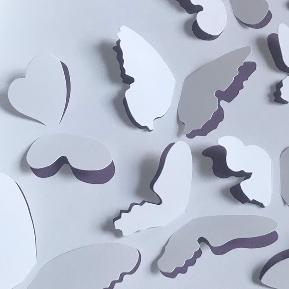 3D Butterfly Shadowbox - Picture 3 of 4